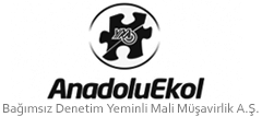 Bağımsız Denetim